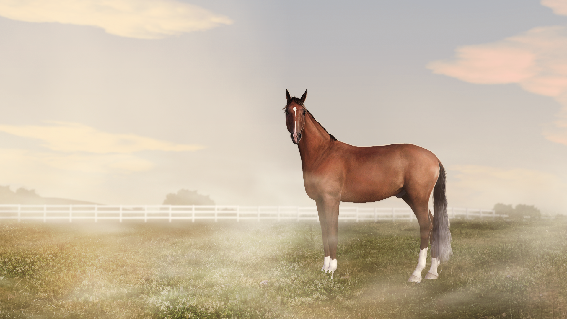 Bay thoroughbred stallion with gulastra plume in a field.